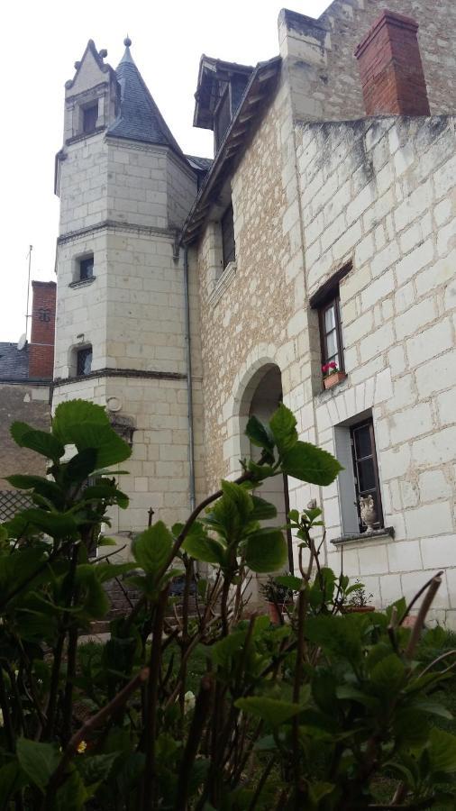 Le Manoir Des Roches Bed and Breakfast Bourré Buitenkant foto