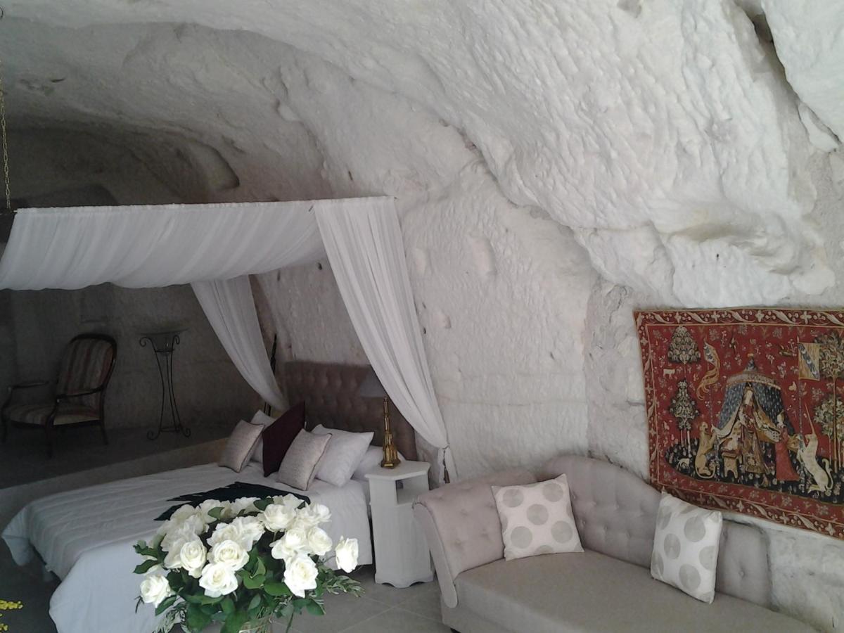 Le Manoir Des Roches Bed and Breakfast Bourré Buitenkant foto