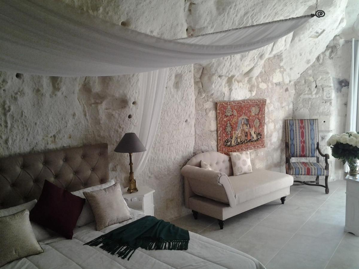 Le Manoir Des Roches Bed and Breakfast Bourré Buitenkant foto