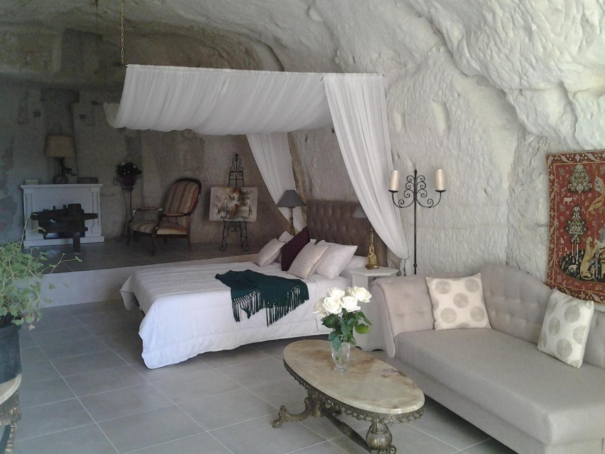 Le Manoir Des Roches Bed and Breakfast Bourré Buitenkant foto
