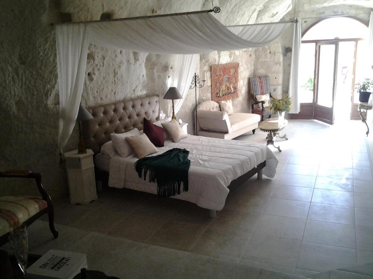 Le Manoir Des Roches Bed and Breakfast Bourré Buitenkant foto