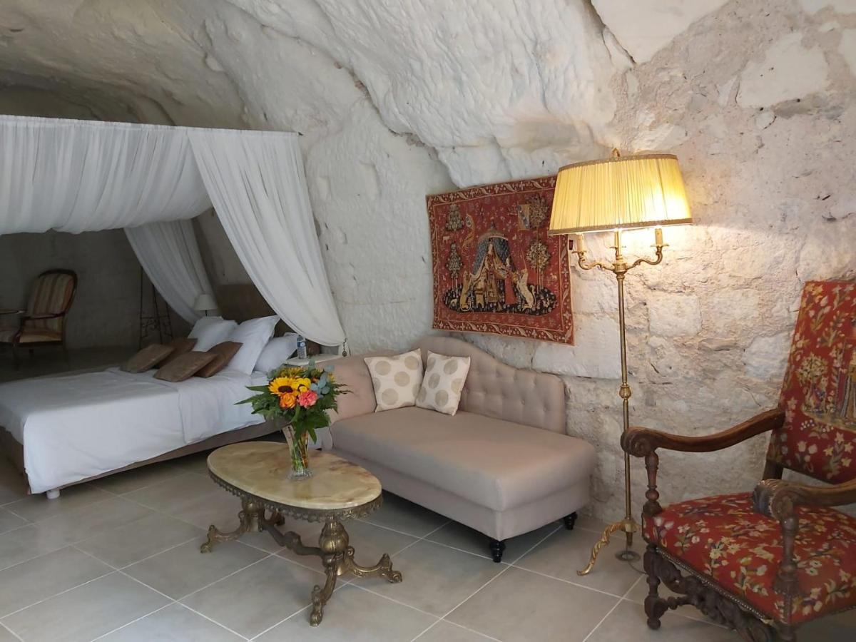 Le Manoir Des Roches Bed and Breakfast Bourré Buitenkant foto