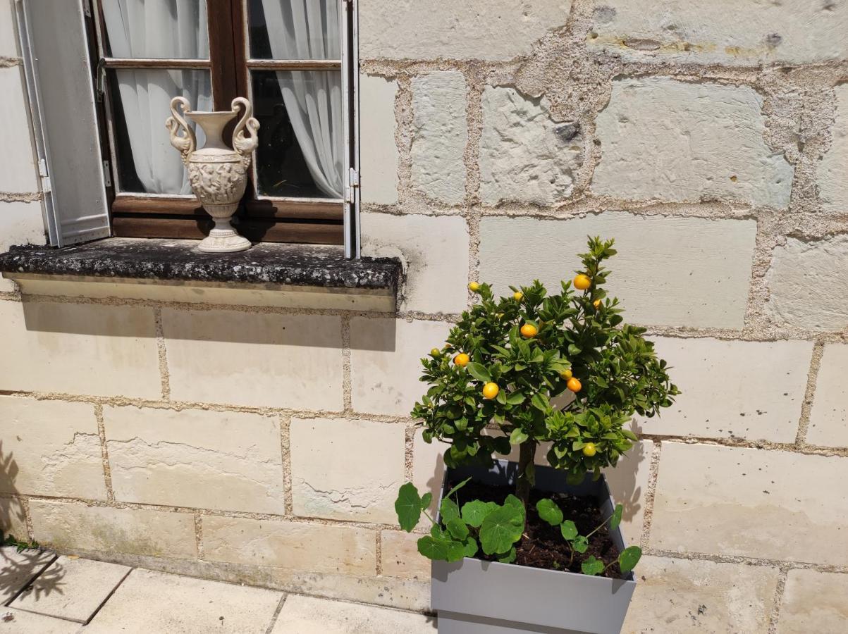 Le Manoir Des Roches Bed and Breakfast Bourré Buitenkant foto