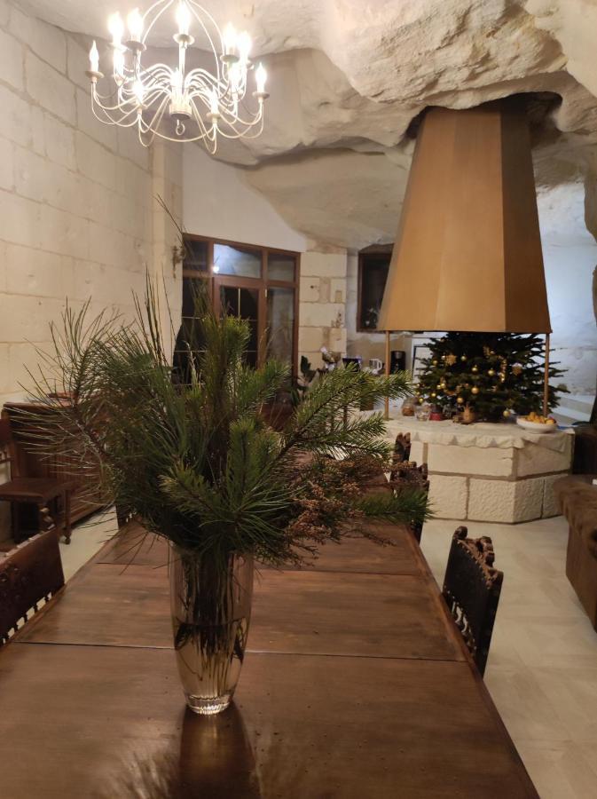 Le Manoir Des Roches Bed and Breakfast Bourré Buitenkant foto