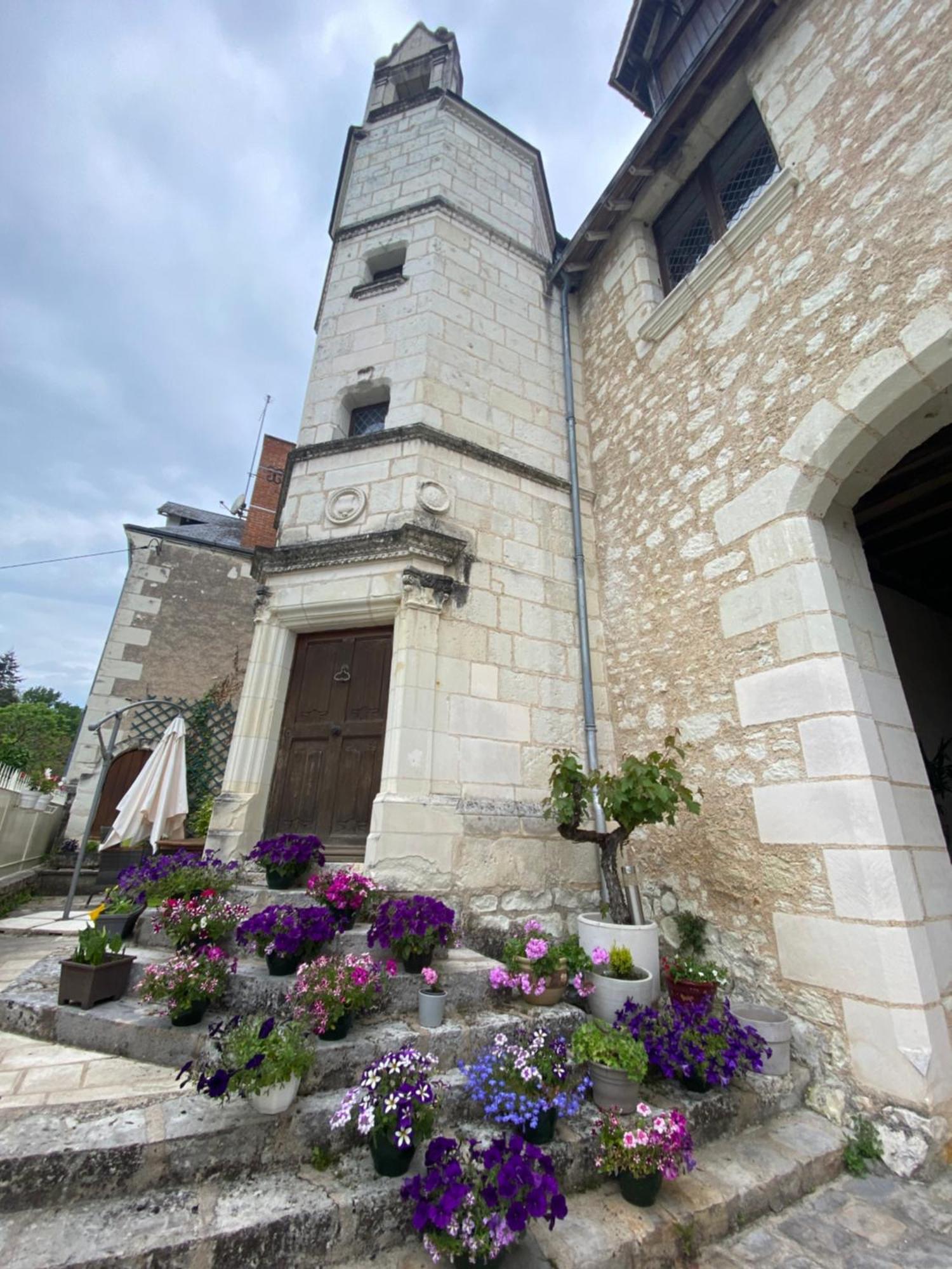 Le Manoir Des Roches Bed and Breakfast Bourré Buitenkant foto