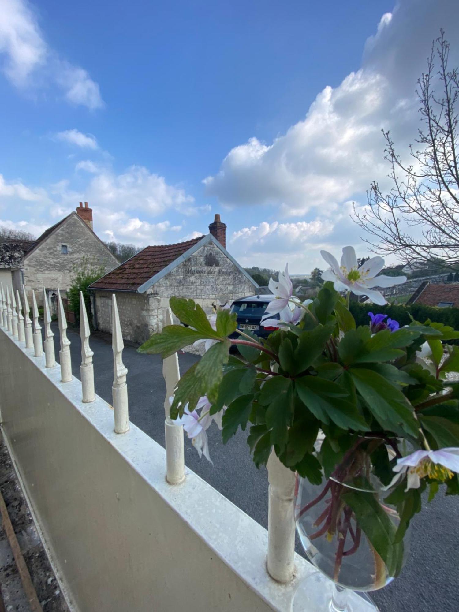 Le Manoir Des Roches Bed and Breakfast Bourré Buitenkant foto