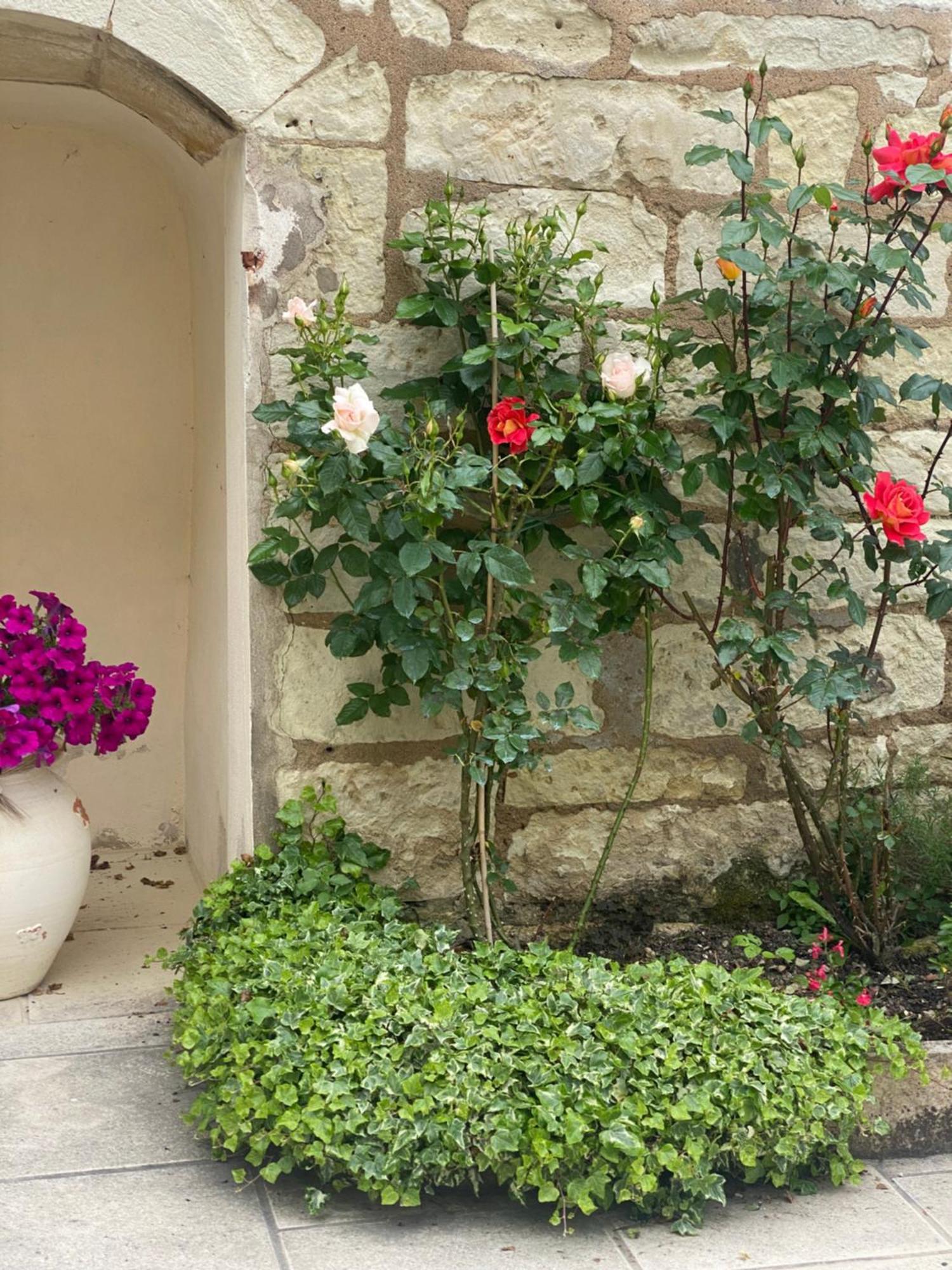 Le Manoir Des Roches Bed and Breakfast Bourré Buitenkant foto